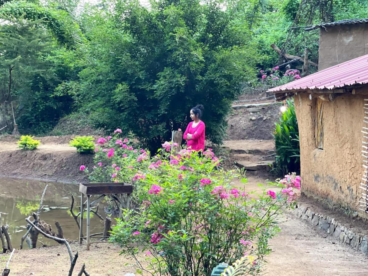 Eco Lodge Meemure & Adventure Park Mimure Екстериор снимка