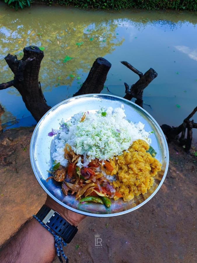 Eco Lodge Meemure & Adventure Park Mimure Екстериор снимка