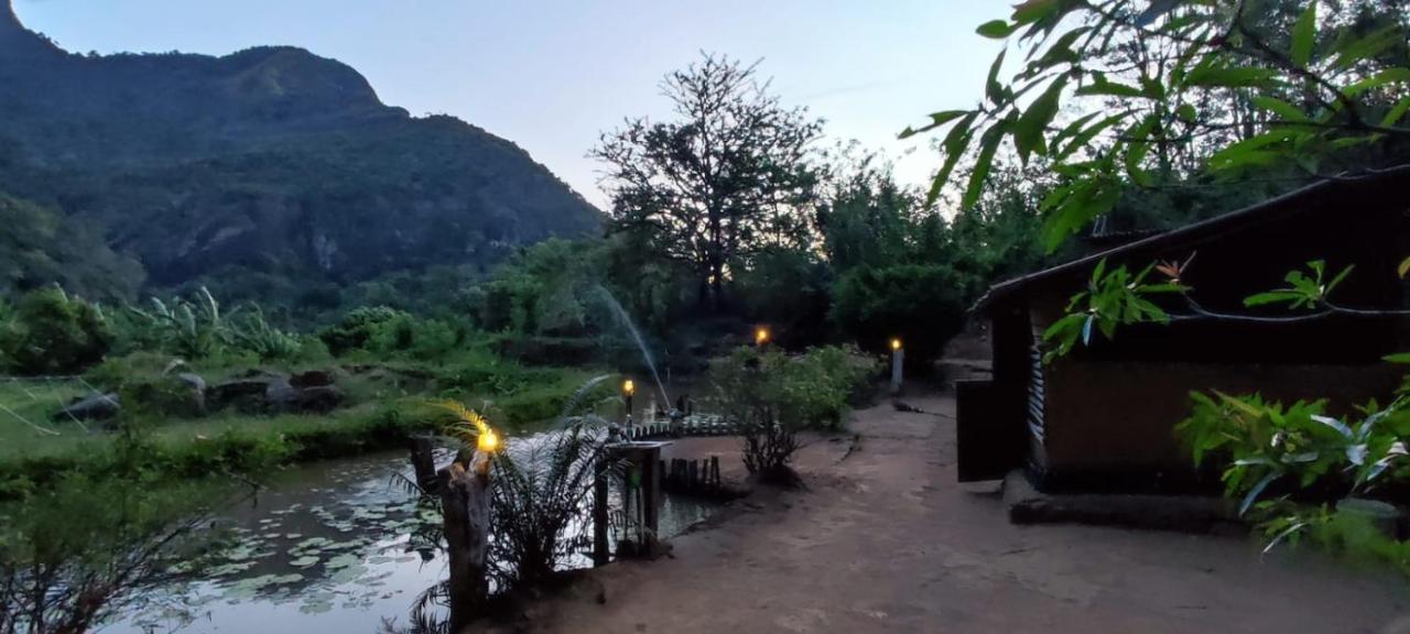 Eco Lodge Meemure & Adventure Park Mimure Екстериор снимка